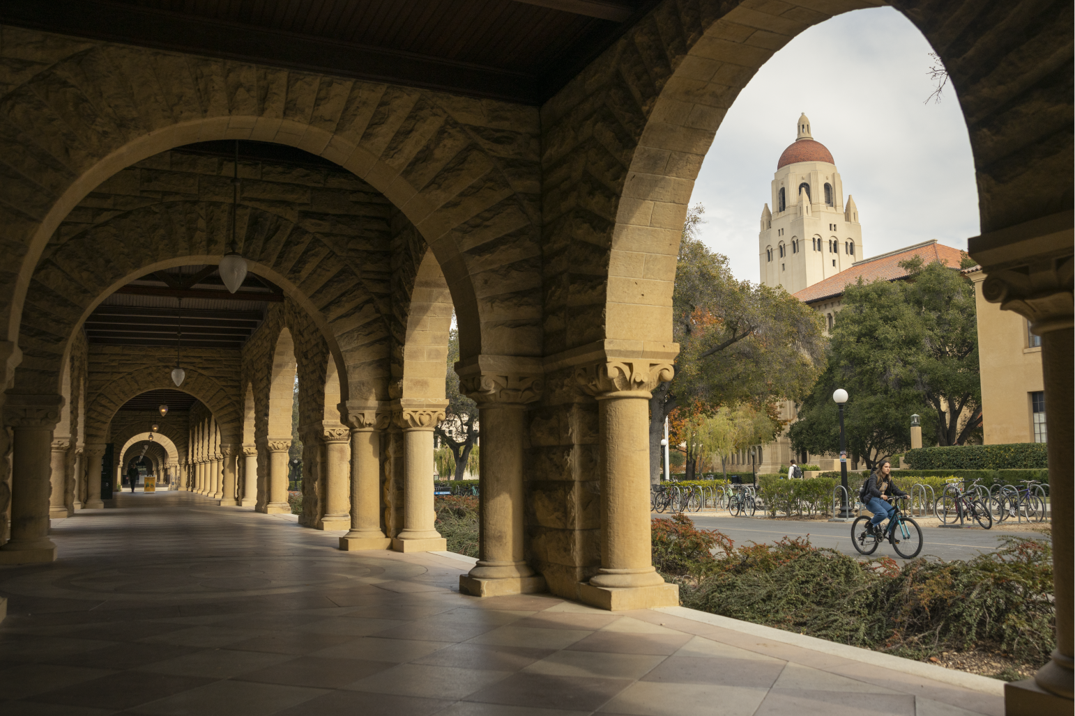 Campus Arches